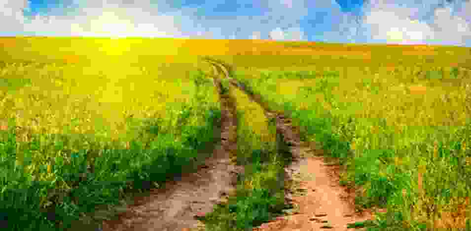 blog-img16 blog-img16